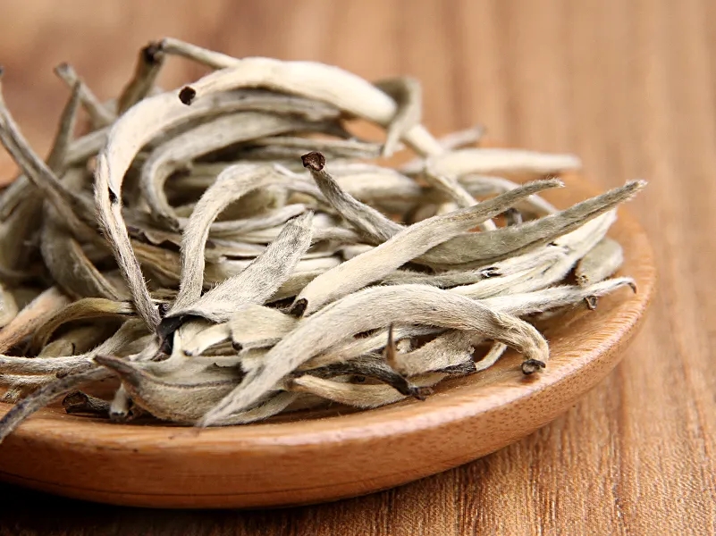 福鼎白茶、安吉白茶、云南月光白“三白”的区别