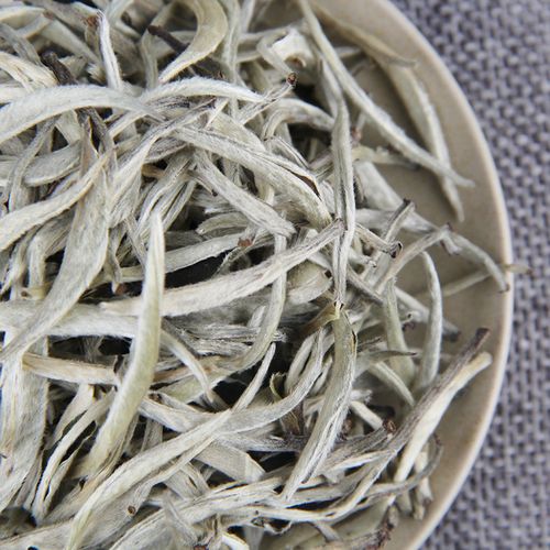 普洱白茶的功效与作用及禁忌