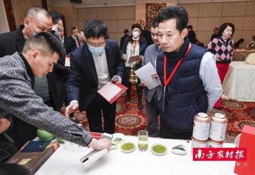 中国首届斗茶大赛决赛羊城举办，十大茶王诞生！
